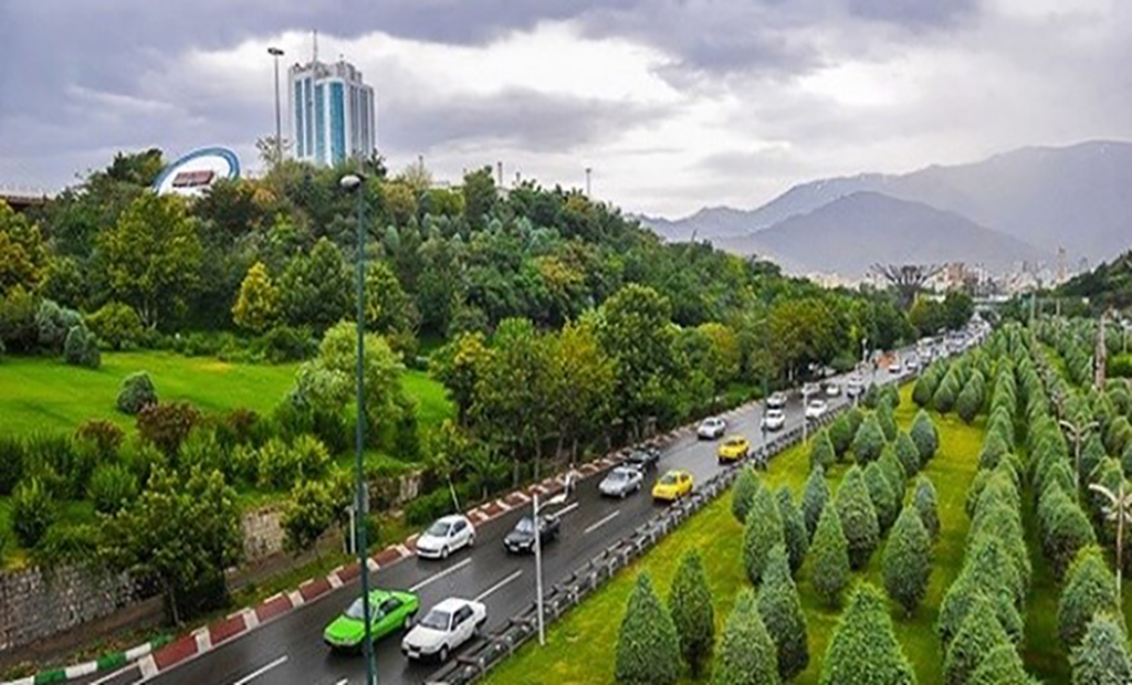 فضای سبز(سنگ طبیعی)